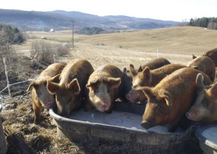 How to Keep a Critical Valve from Freezing Image